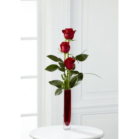 Red Roses in a Vase