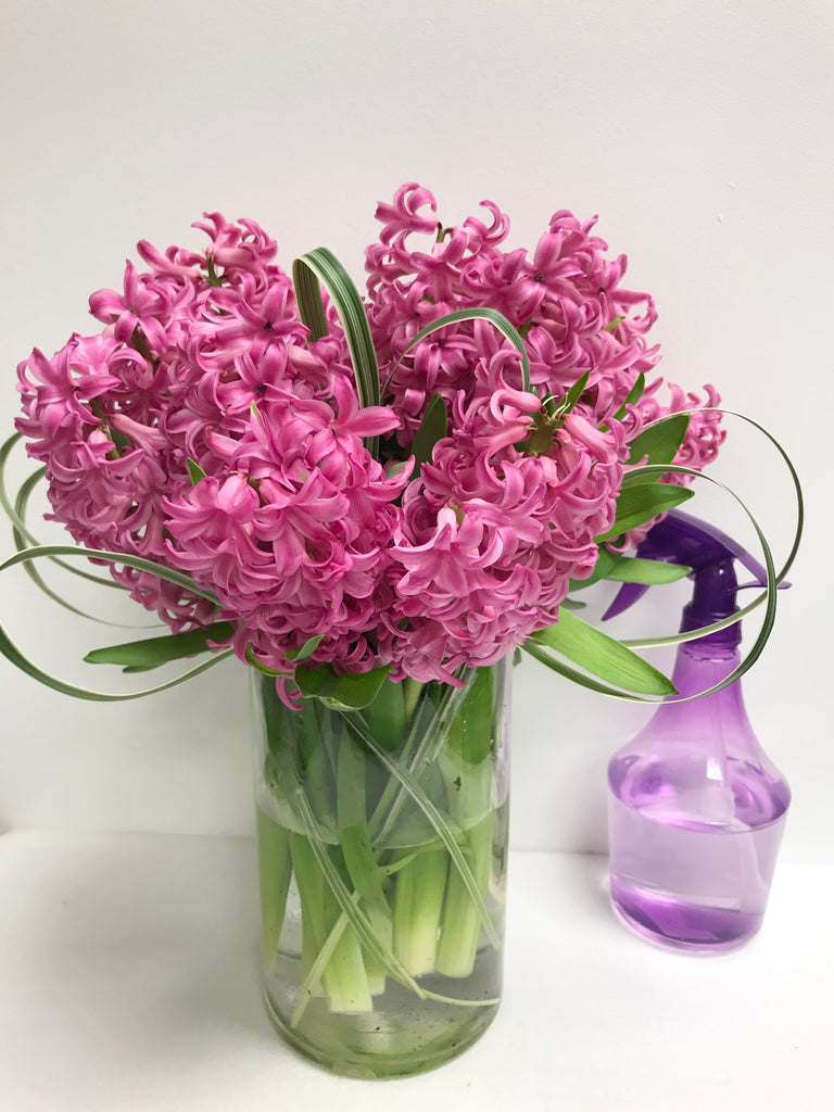 Spring Hyacinth Arrangement