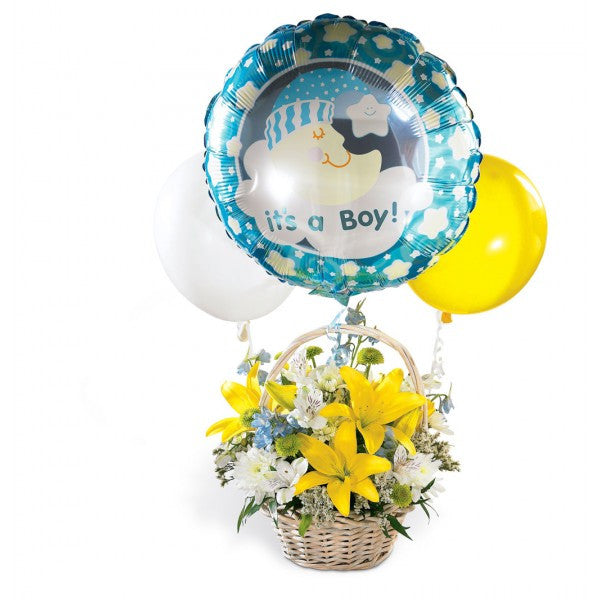 WB8 Welcome Baby Boy